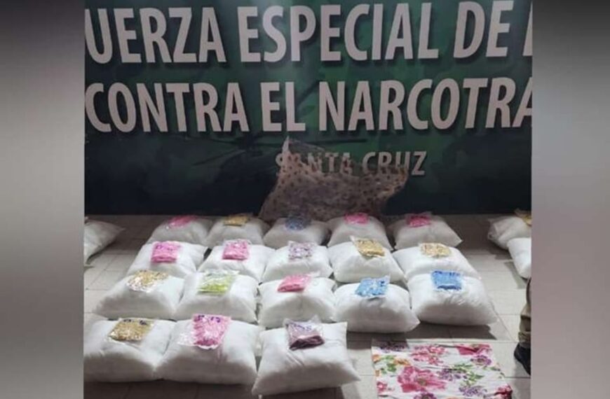 Más de 50 almohadas que contenian 67.000 pastillas de metanfetamina&hellip;