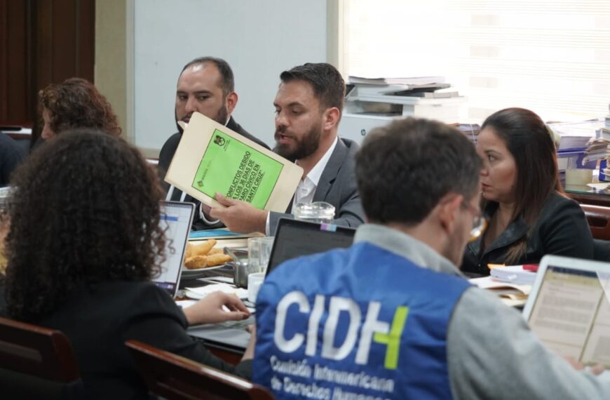 Ministerio de Gobierno sostuvo una reunion con la CIDH e&hellip;