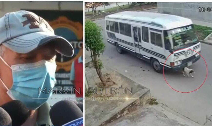 Chofer que atropelló y mató a un perro se someterá a proceso abreviado
