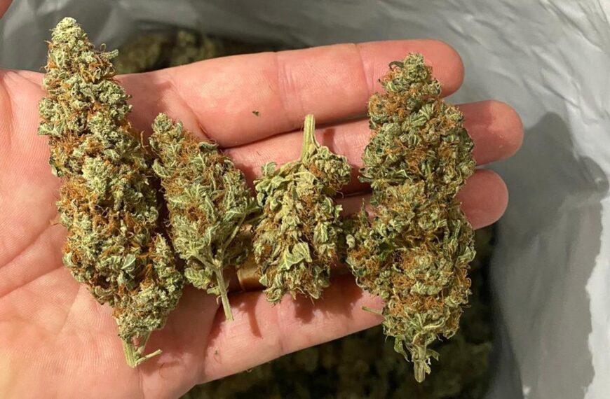Policía descubre a una menor, de tan solo 13 años, con sobres de marihuana que pretendía comercializar para ganar dinero