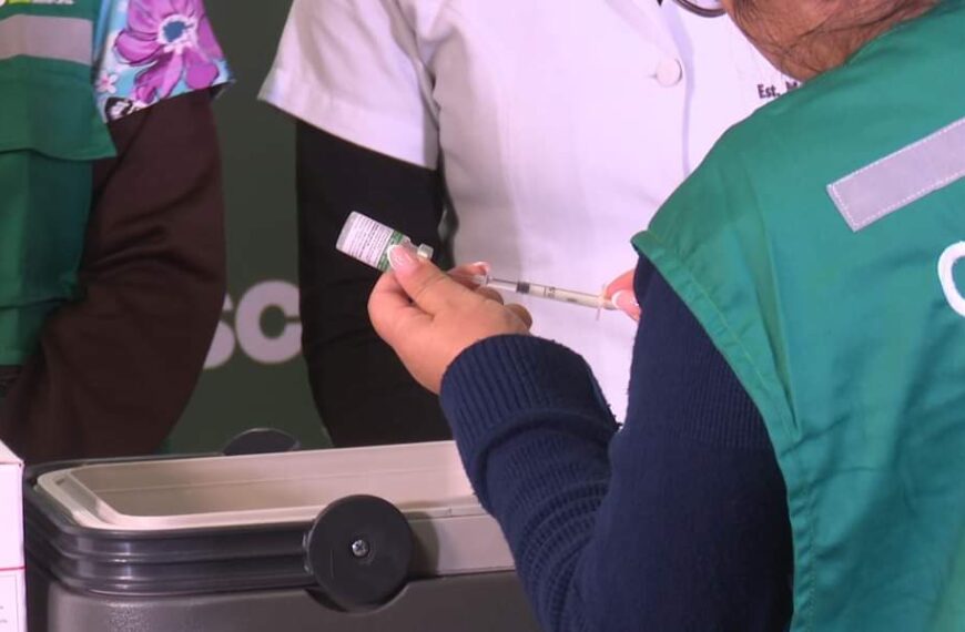 Ministerio de Salud y Deportes informo que se ampliara la vacunación contra la influenza para niños hasta los 12 años