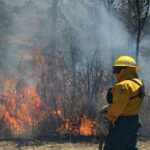 Fuego en Otuquis consumió 4.000 hectáreas y piden apoyo aéreo para controlarlo 