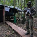 FELCN destruyó seis laboratorios de droga en Villa Tunari y uno en Beni