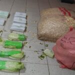 Secuestran 16 kilos de marihuana escondidas en bolsas de yute