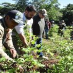 Declaran al Parque Amboró “libre de cultivos de coca” y alistan reforestación
