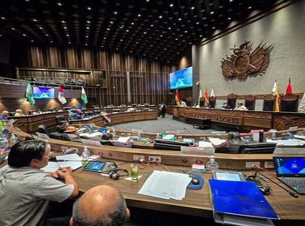 Senado instala sesión para tratar contratos mineros y créditos para Sucre y Yapacaní
