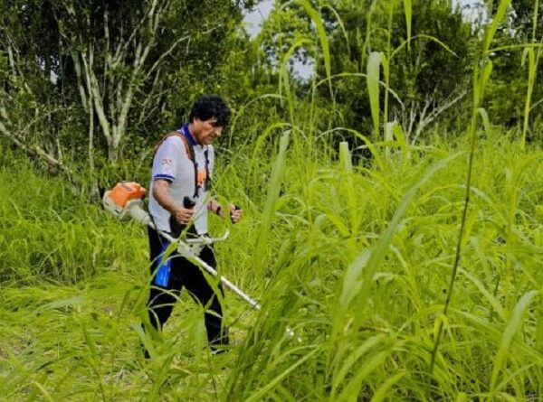 Evo vuelve a denunciar sin pruebas; dice que helicóptero sobrevoló su “chaco” para lanzar droga