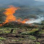  Cochabamba: Incineran más de 10 toneladas de marihuana en predio de la provincia&hellip;