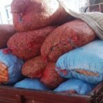 Aduana confisca cargamento de hortalizas y manzanas de contrabando en Villazón