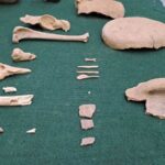 El pasado se abre paso en Comarapa: descubren piezas de 2.000 años de&hellip;