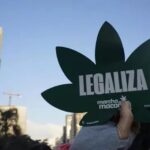 El Supremo de Brasil despenaliza la posesión de marihuana para consumo personal