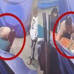 Cochabamba: el tomate vale oro, roban nueve cajas en un mercado