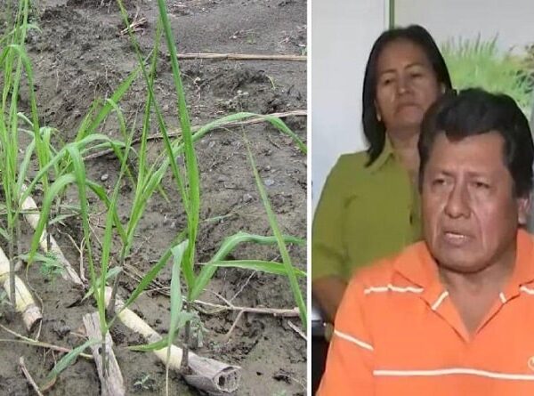 Cañeros se declaran en emergencia por la falta de diésel