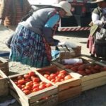 Afirman que el cambio climático, la especulación y el contrabando influyen en el&hellip;