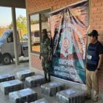 En un camión que transportaba plátanos hallan media tonelada de marihuana