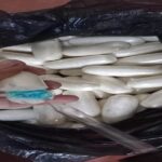 Joven alojada en hostal de Puerto Quijarro es encontrada con 234 cápsulas de&hellip;