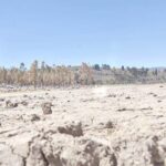 Reportan más de 8.490 familias damnificadas por la sequía y 17.776 por heladas&hellip;