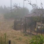 El frío más intenso ingresará hoy por la noche y será hasta el&hellip;