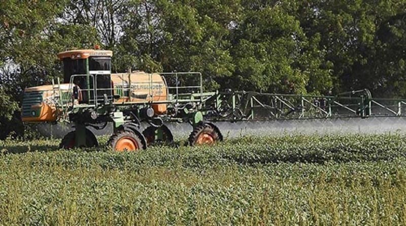 Exportación de soya cae en más de 500 millones de dólares por la sequía