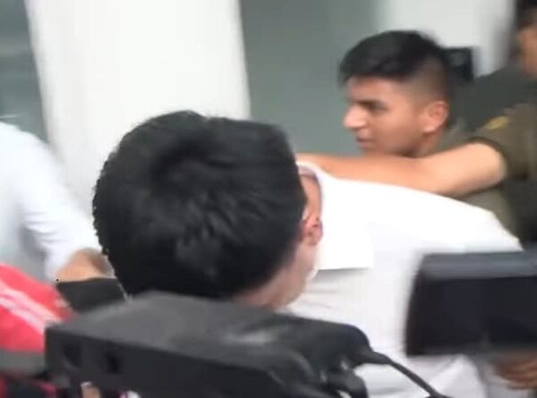 Aprehenden al dueño de la tortuga en Santa Cruz que rociaron bebidas alcohólicas