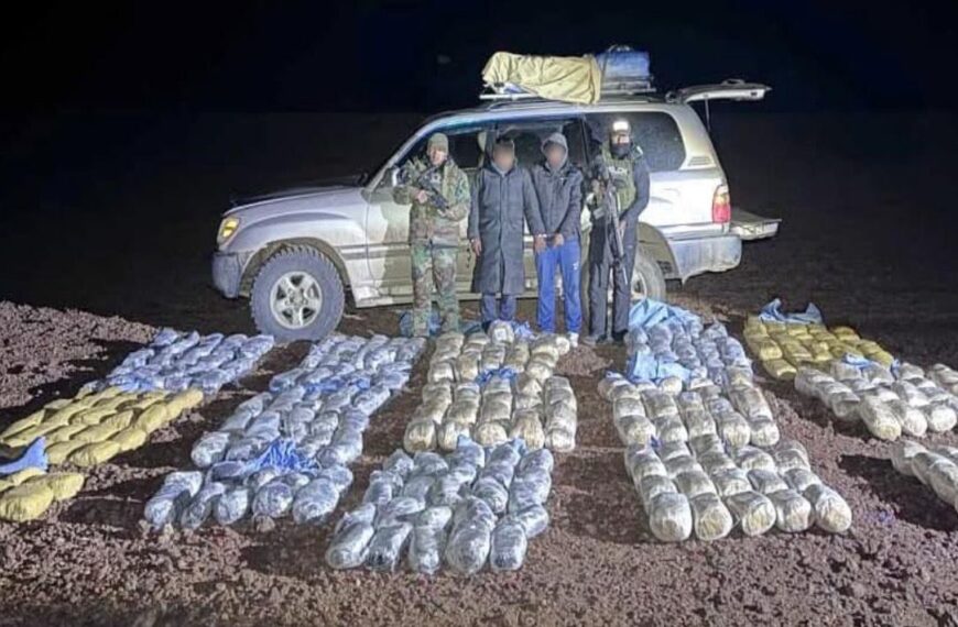 Decomiso de marihuana afecta al narcotráfico con pérdidas superiores a…