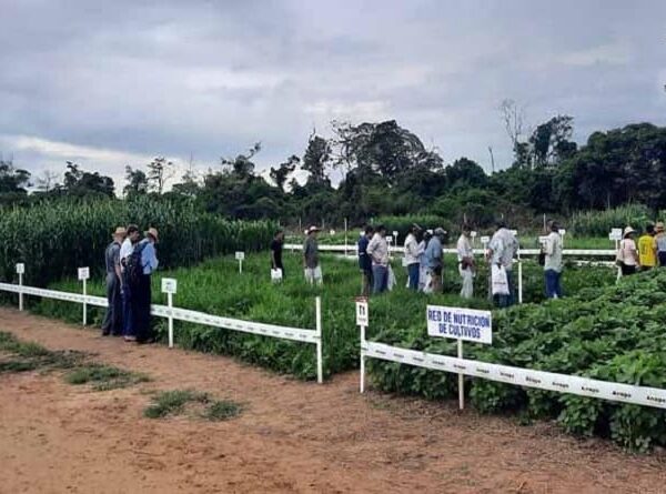 Exposoya reafirma innovación en prácticas sostenibles para elevar producción de alimentos