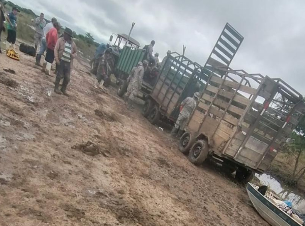Ganaderos de Santa Cruz reportan dificultades para trasladar ganado afectado por inundaciones en Guarayos