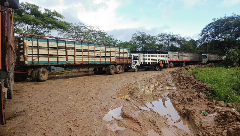 Camiones varados por lluvias en el río Mamoré agravan crisis…