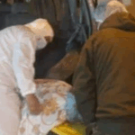 Oruro: niña de 8 años fue víctima de infanticidio; su tía abuela es…