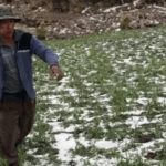 Prevén heladas en los valles cruceños entre la noche del martes y la…