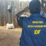 Feminicidio en San Ignacio de Velasco: hombre asesina a su pareja y luego…