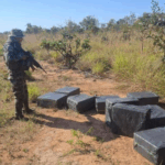 Incautan más de media tonelada de droga en operativos en Beni y Cochabamba