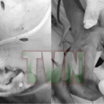 Planeo matarla porque no le caía bien” fueron las palabras de la adolescente…