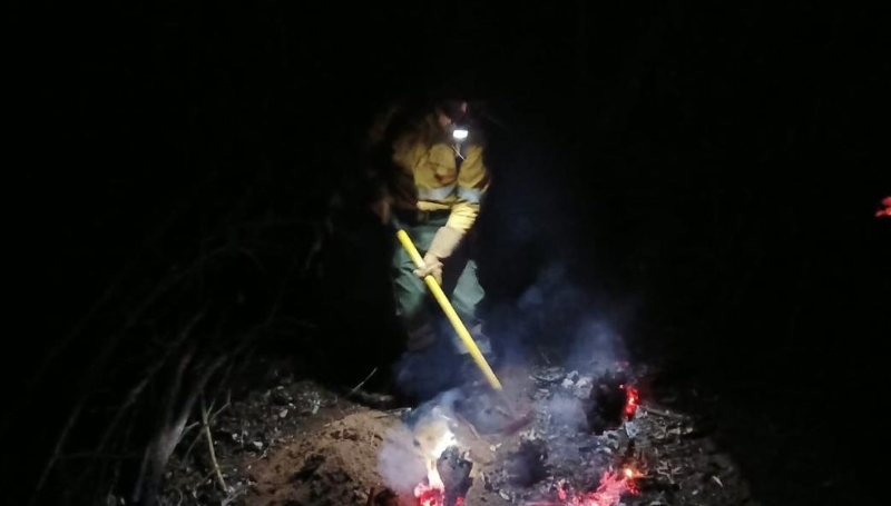 Santa Cruz registra 13 incendios forestales activos y 176 focos…