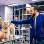 Bukele lanza plan internacional para rescatar a miles de perros y gatos callejeros…