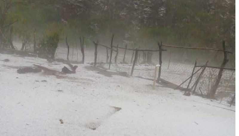Sucre, Granizada sorprende en Chuquisaca y deja daños en cultivos