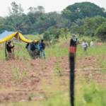 Gobierno moviliza a 250 policías para frenar nuevo avasallamiento en Guarayos