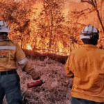 Gobierno pide a la Gobernación cruceña declarar desastre por incendios