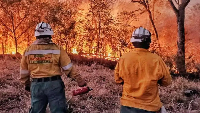 Gobierno pide a la Gobernación cruceña declarar desastre por incendios