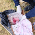 Un bebé de siete meses fue encontrado abandonado la tarde de este lunes&hellip;