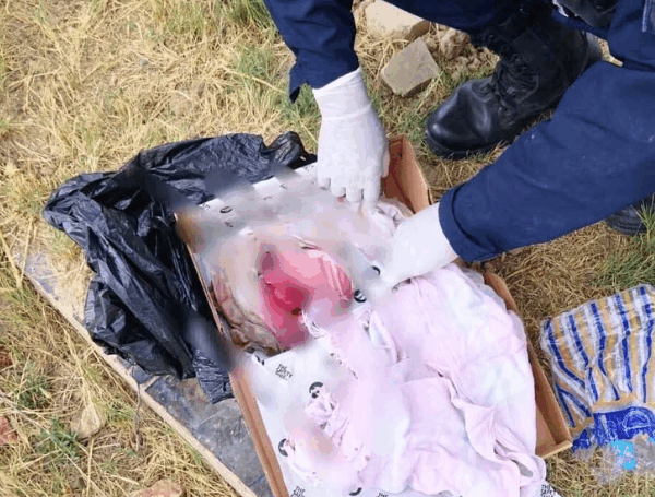Un bebé de siete meses fue encontrado abandonado la tarde de este lunes dentro del Cementerio General de Cochabamba, hecho que provocó alarma entre visitantes y personal del lugar.