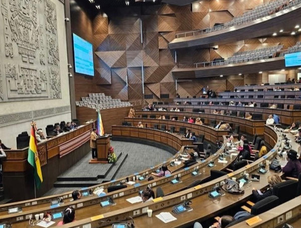 Asamblea aprueba crédito de $us 550 millones de libre disponibilidad para el Gobierno