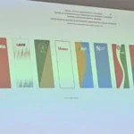 Santa Cruz: TED realiza sorteo de actas en el marco del proceso subnacional…