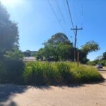 VECINOS ALERTAN POR MALEZA EN PARQUES DE SANTA CRUZ EN MEDIO DEL REPUNTE&hellip;