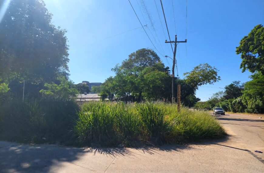 VECINOS ALERTAN POR MALEZA EN PARQUES DE SANTA CRUZ EN&hellip;