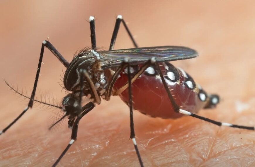 Santa Cruz de la Sierra entra en alerta roja por…