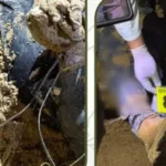 Brasileño hallado enterrado en Porongo fue asesinado un día después de ingresar a&hellip;