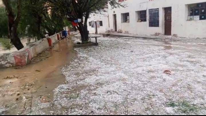 Tarija: granizada arrasa Tojo y comunidades de Avilés; cultivos de&hellip;
