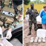 FELCN secuestra marihuana oculta en una conservadora en terminal de buses de San&hellip;