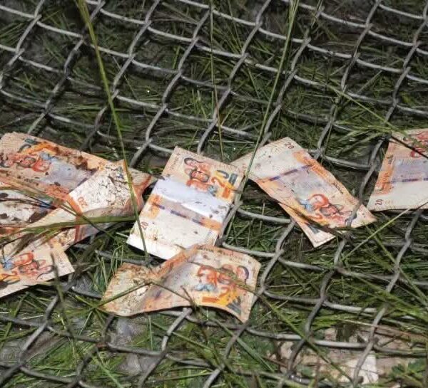 Gobierno rechaza legalizar billetes de la serie B obtenidos tras accidente aéreo